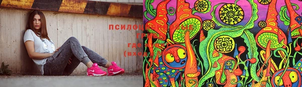 прущая мука Алзамай